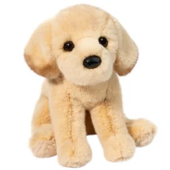 Ace Yellow Lab