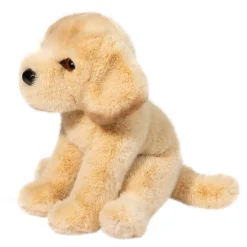 Ace Yellow Lab