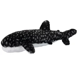 Barnacle Whale Shark
