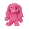 Begonia Floppy Bunny