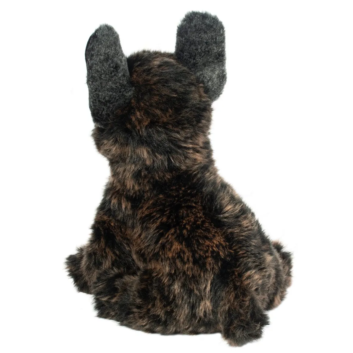 Billie French Bulldog