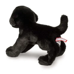 Brewster Black Lab