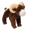 Burly Bighorn Sheep