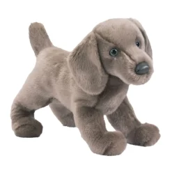 Cassie Weimaraner
