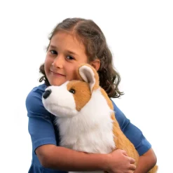 Chadwick Corgi