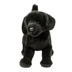 Chester Black Lab