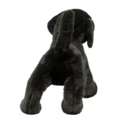 Chester Black Lab