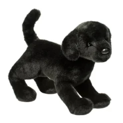 Chester Black Lab