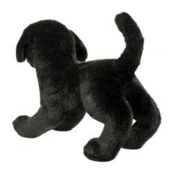 Chester Black Lab