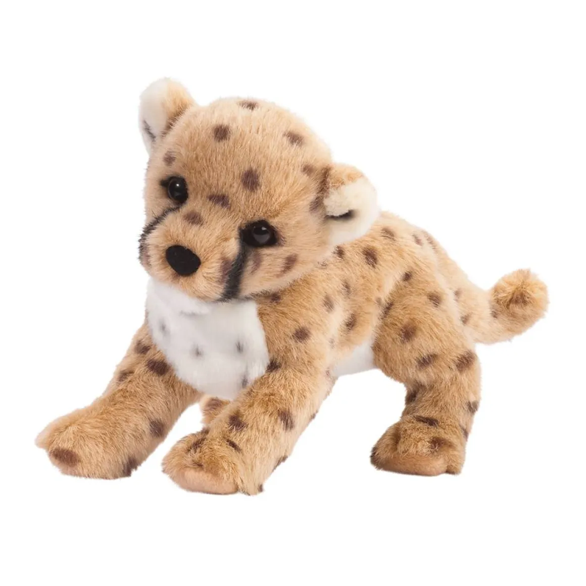 Chillin’ Cheetah Cub