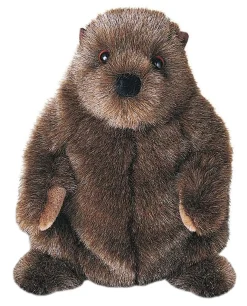 Chuckwood Groundhog