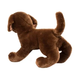 Cocoa Chocolate Lab