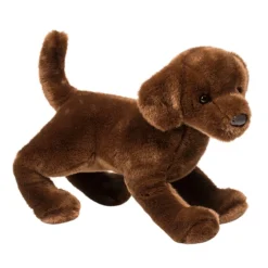 Cocoa Chocolate Lab