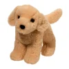 Cornell Yellow Lab