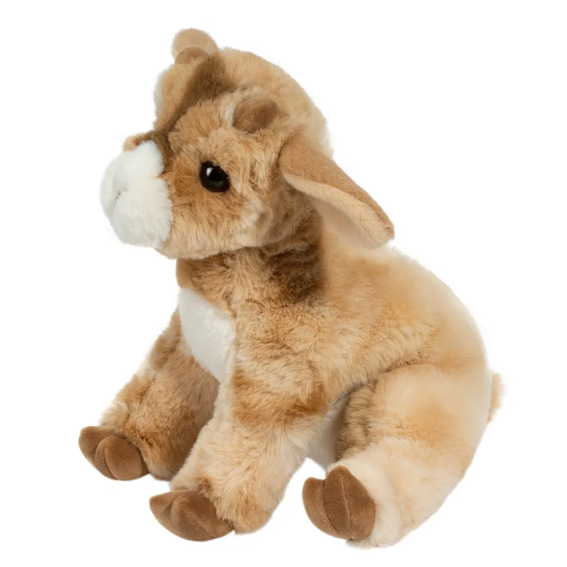 Dandie Soft Goat