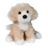 Darcy Golden Doodle
