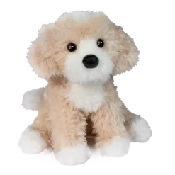 Darcy Golden Doodle