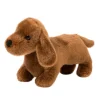 Dilly Dachshund