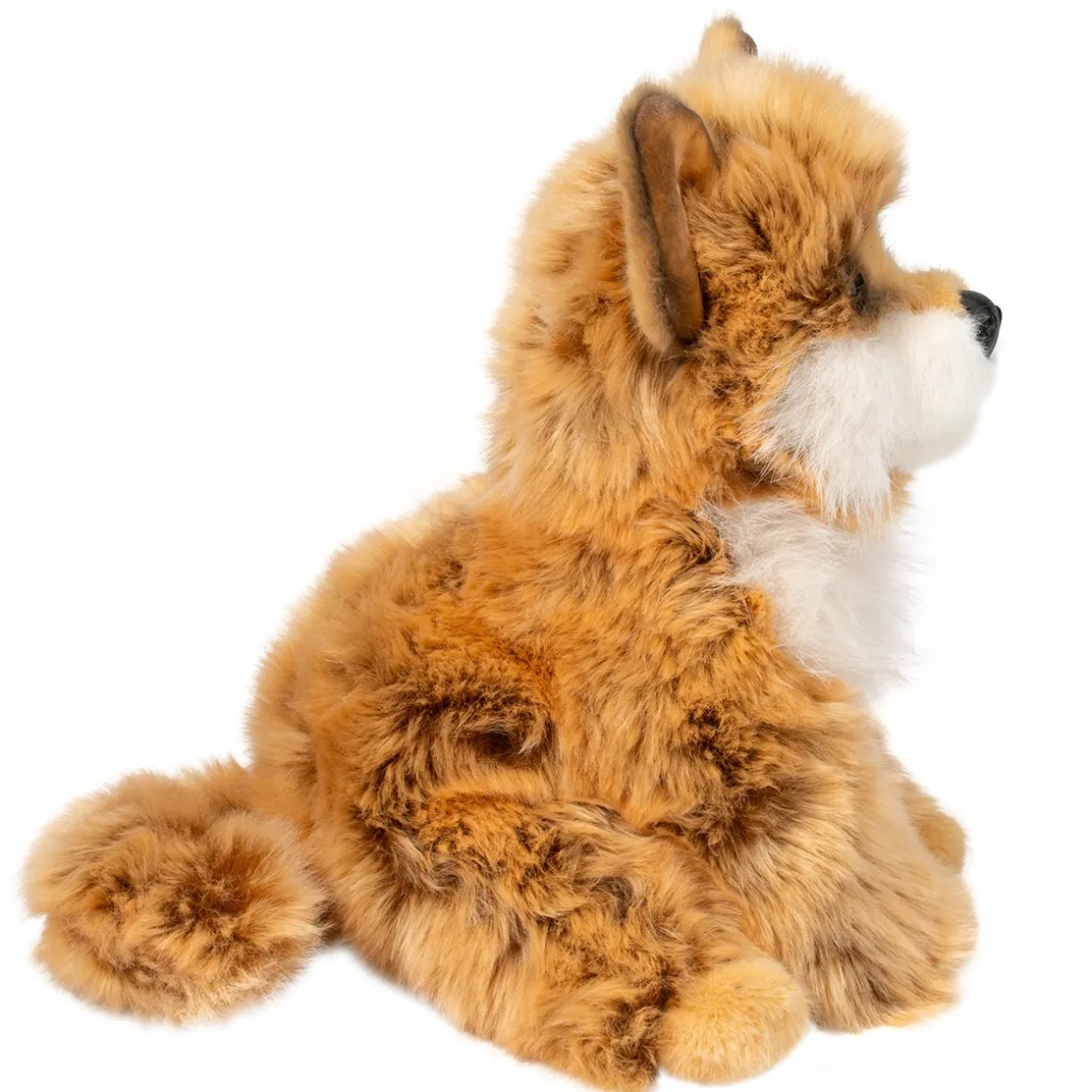 Dove Pomsky