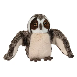 Echo Owl