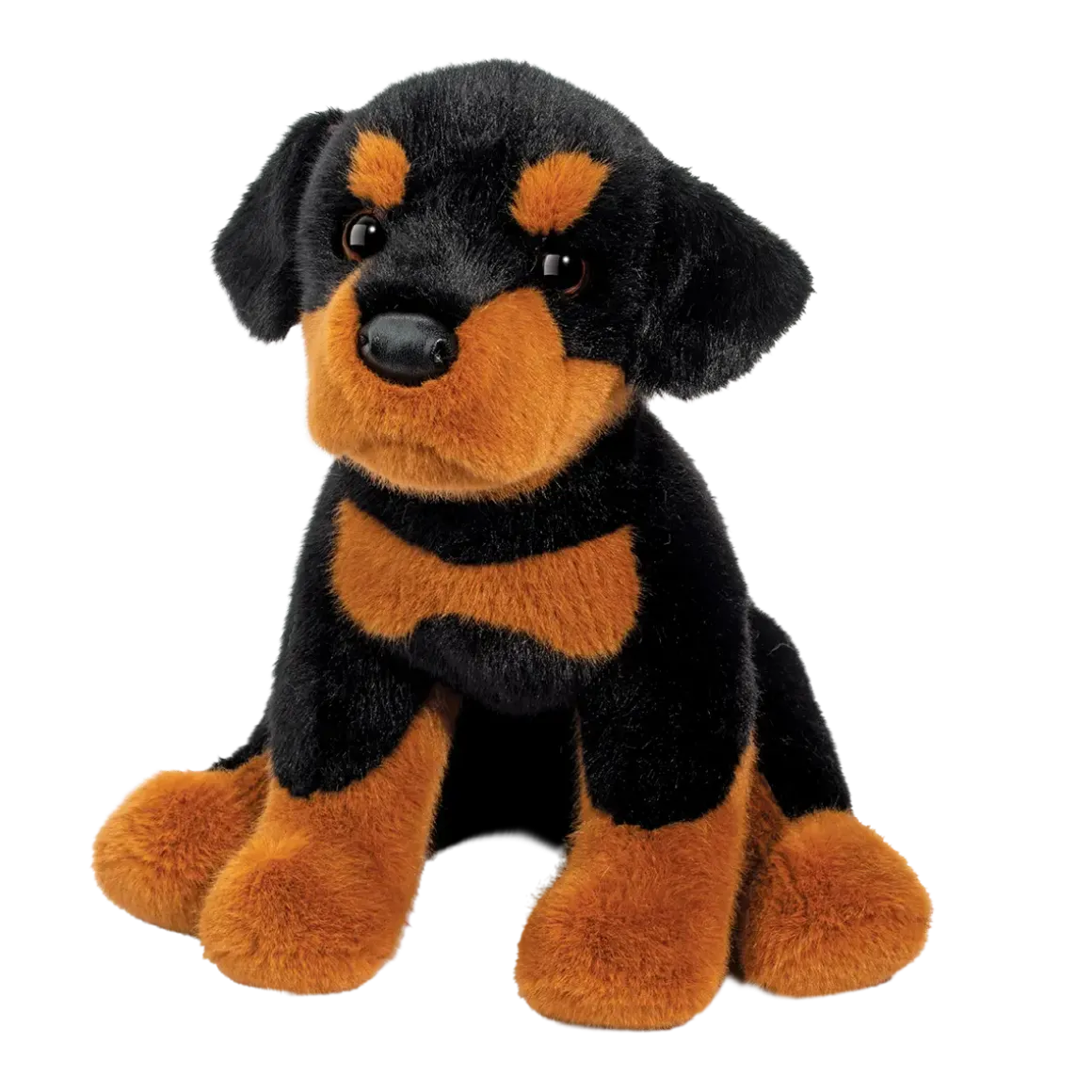 Ed Rottweiler