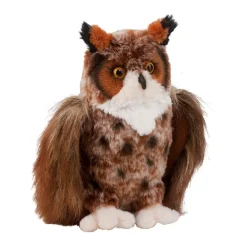 Einstein Great Horned Owl