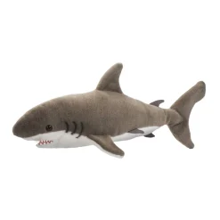 Fin Great White Shark