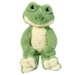 Floyd Frog