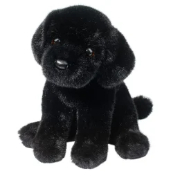 Ford Black Lab