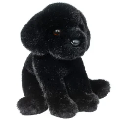 Ford Black Lab