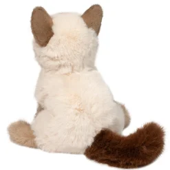 Fu Siamese Cat