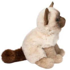 Fu Siamese Cat