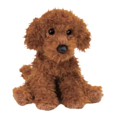 Ginger Miniature Poodle