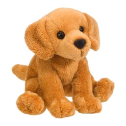Gracie Golden Retriever