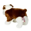 Hardy Bulldog