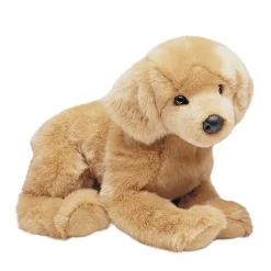 Honey Golden Retriever