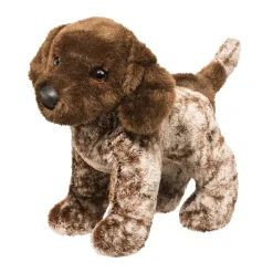 Ivan German Pointer