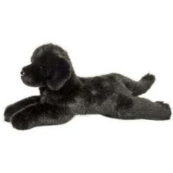 Jake DLux Black Lab
