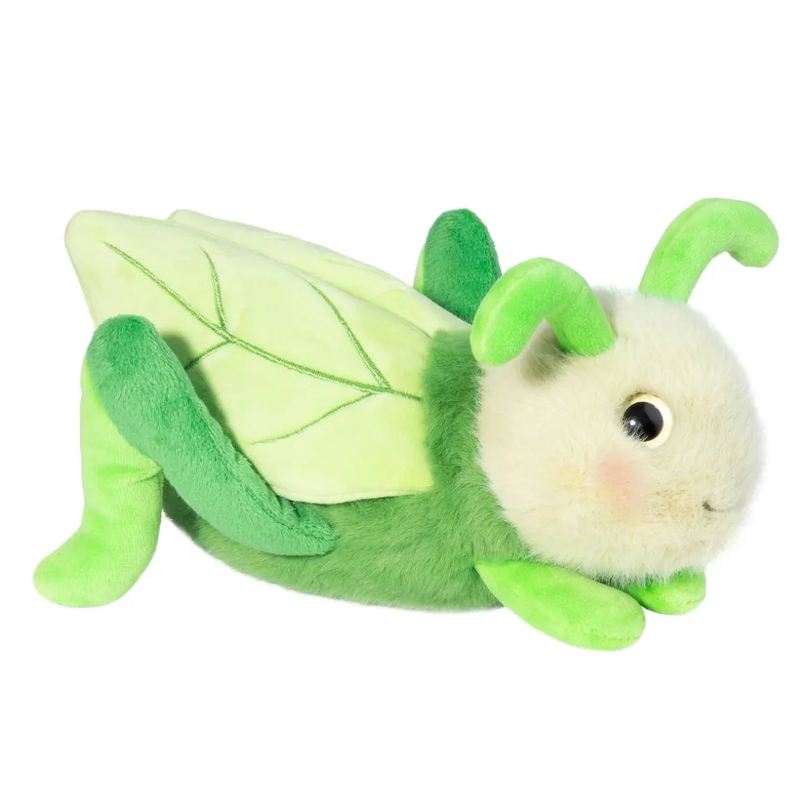 Kady Grasshopper