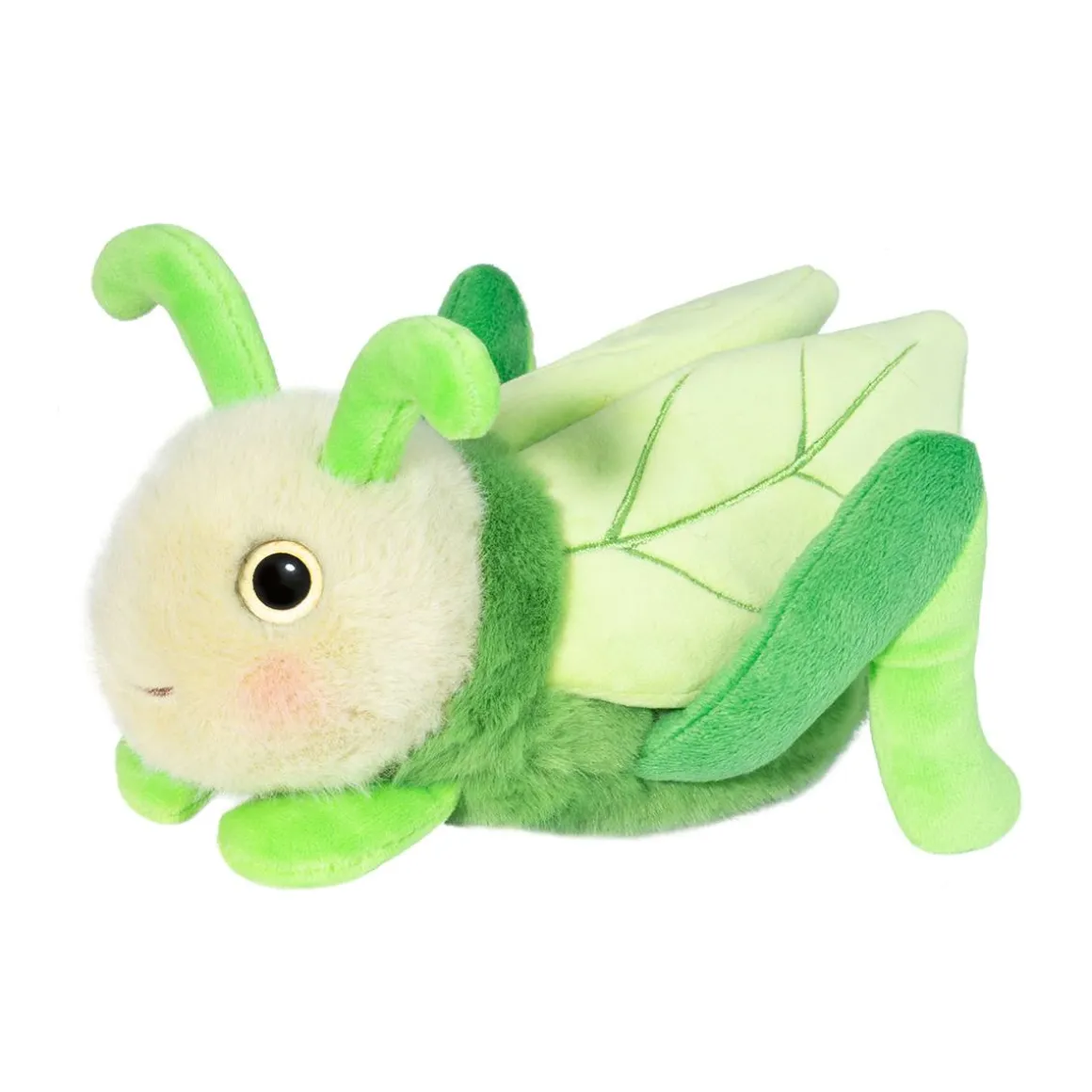 Kady Grasshopper