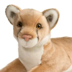 Kelso Mountain Lion