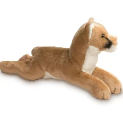 Kelso Mountain Lion