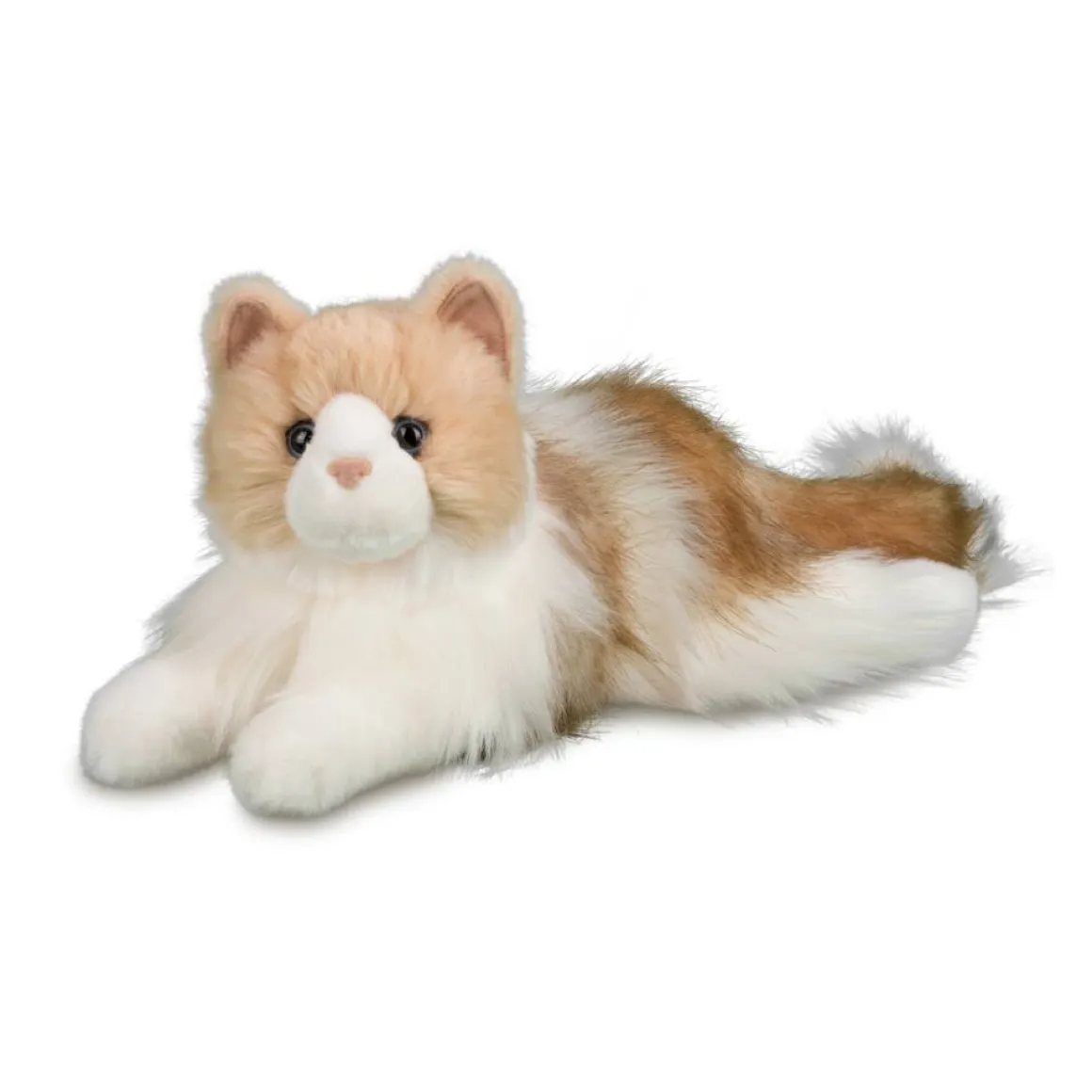 Kiki Ragdoll Cat
