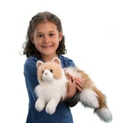 Kiki Ragdoll Cat