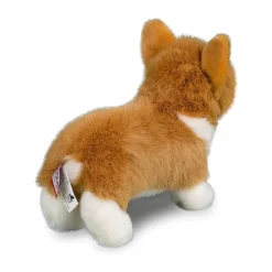 Louie Corgi
