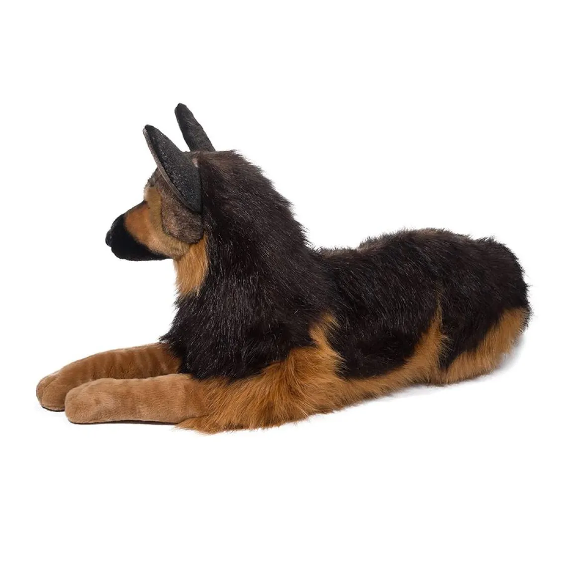 Major German Shepherd