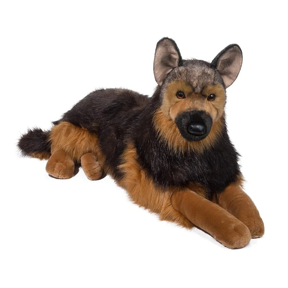 Major German Shepherd