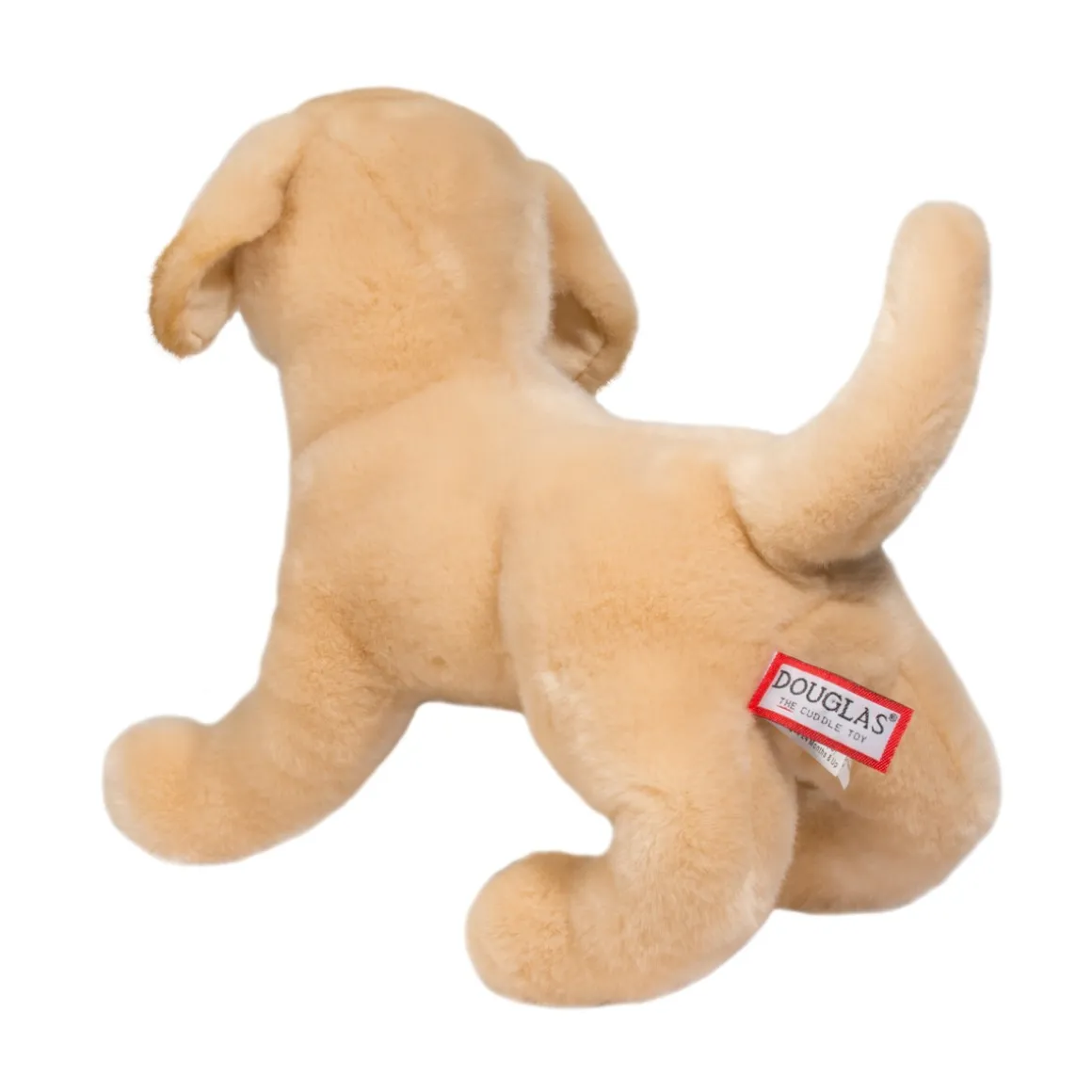 Mandy Yellow Lab