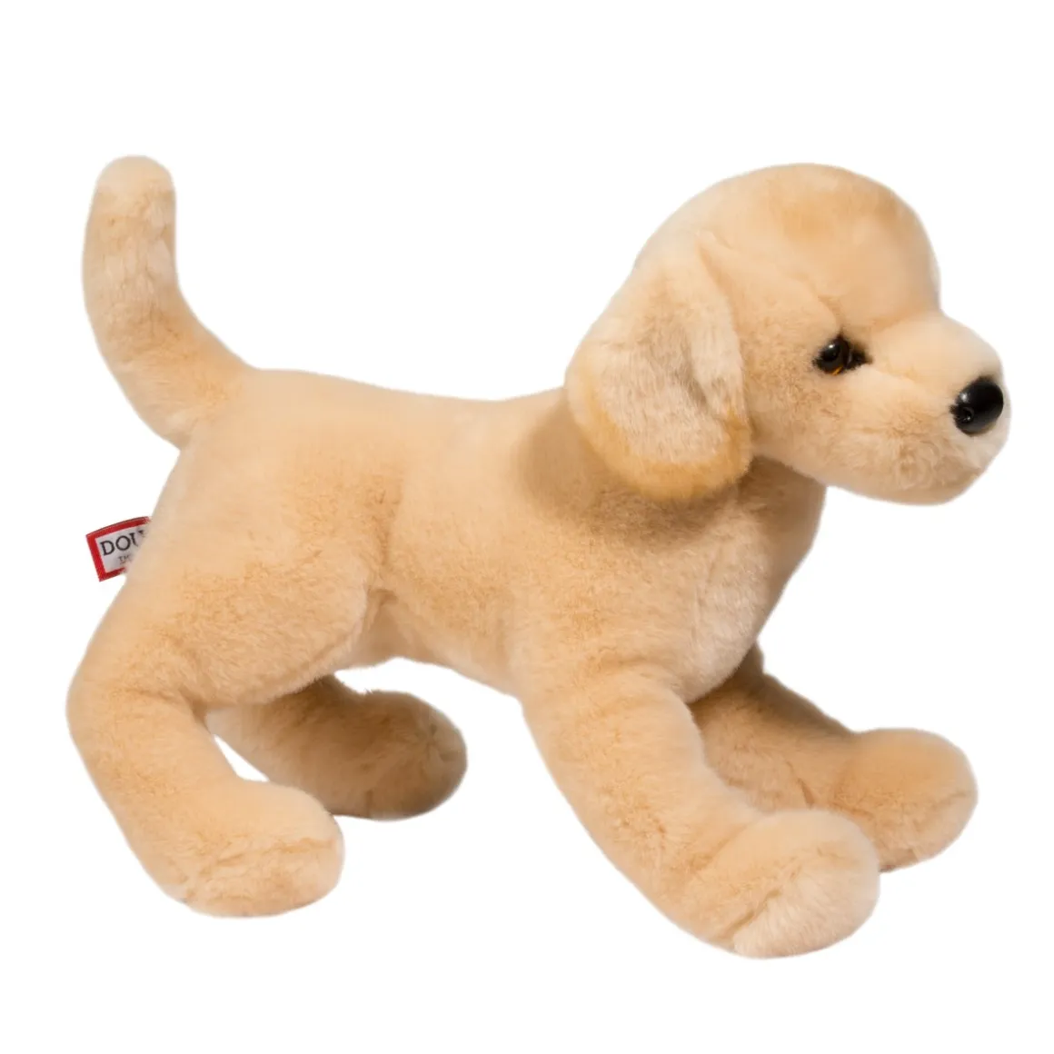 Mandy Yellow Lab