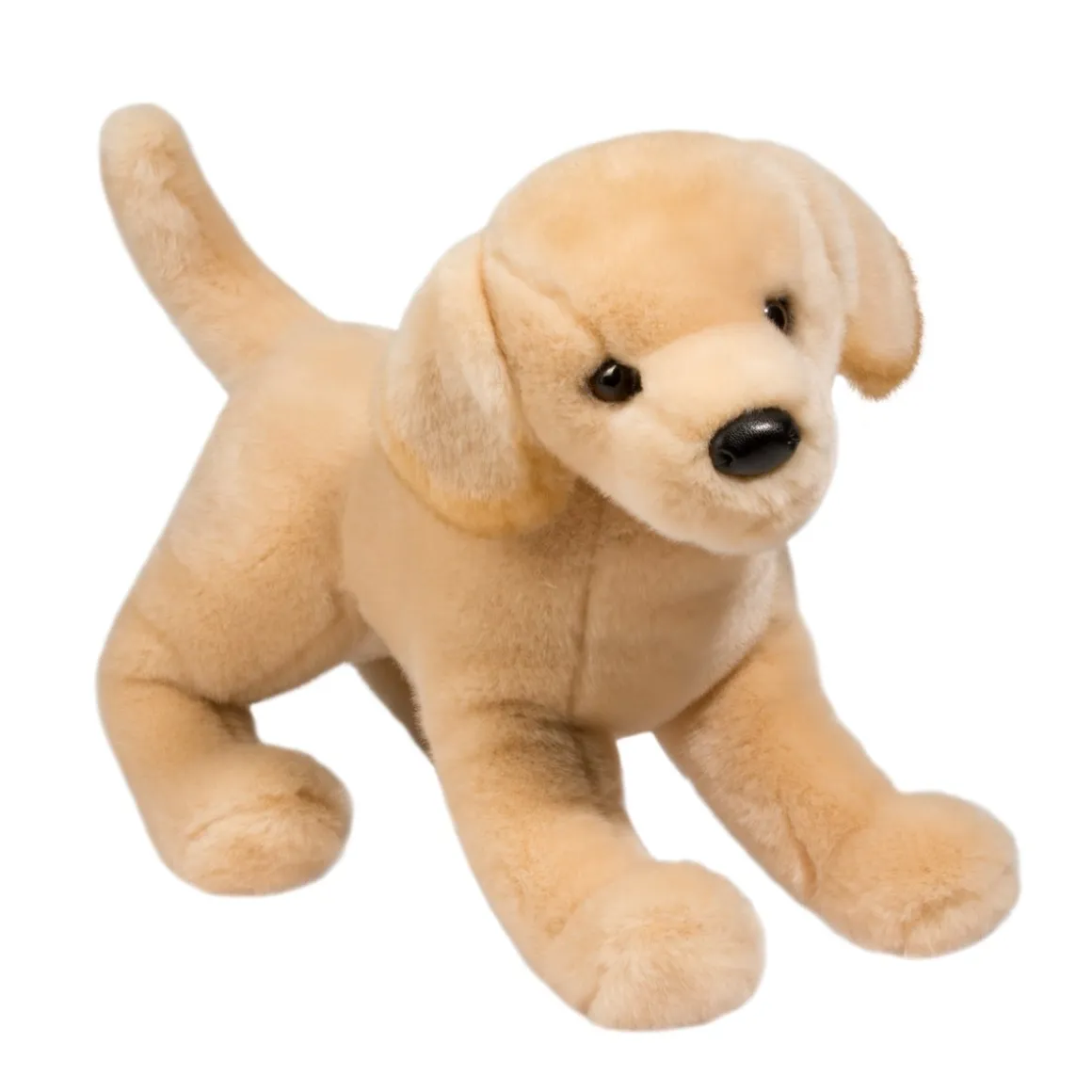 Mandy Yellow Lab
